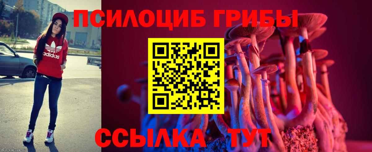 Галлюциногенные грибы GOLDEN TEACHER Керчь
